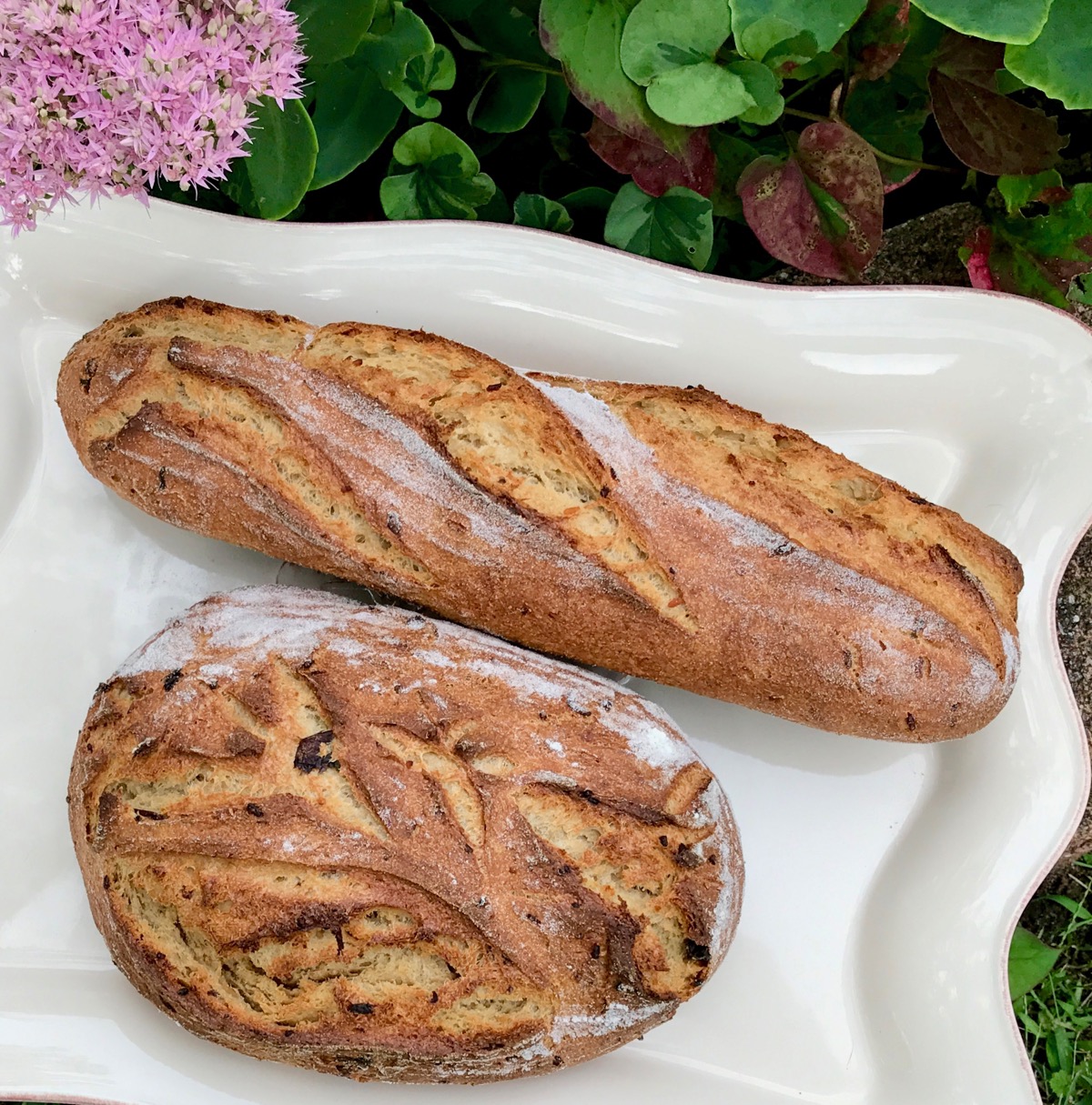 Durum Mushroom Rice Sourdough Bread The Fresh Loaf